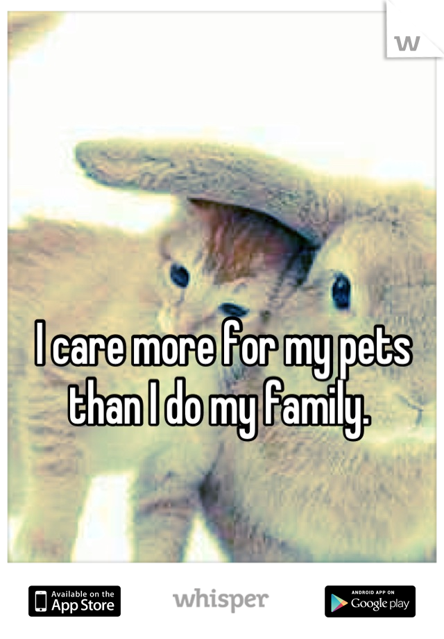 I care more for my pets than I do my family. 