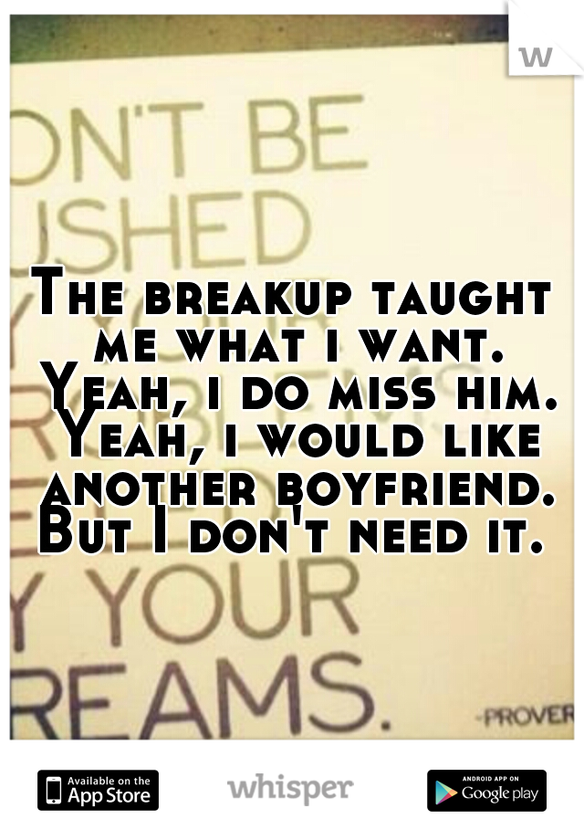 The breakup taught me what i want. Yeah, i do miss him. Yeah, i would like another boyfriend. But I don't need it. 