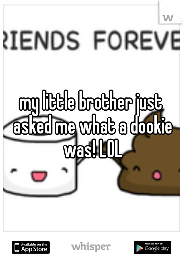 my little brother just asked me what a dookie was! LOL