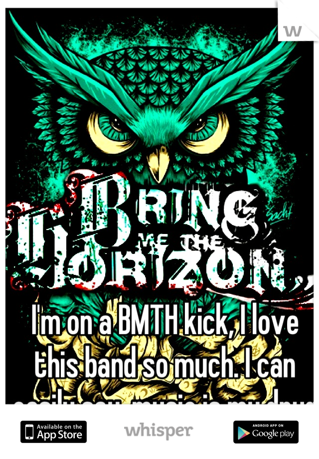 I'm on a BMTH kick, I love this band so much. I can easily say, music is my drug <3