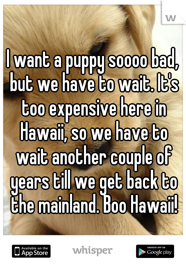 I want a puppy soooo bad, but we have to wait. It's too expensive here in Hawaii, so we have to wait another couple of years till we get back to the mainland. Boo Hawaii!