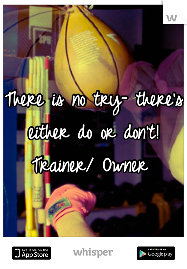 There is no try- there's either do or don't! 
Trainer/ Owner 