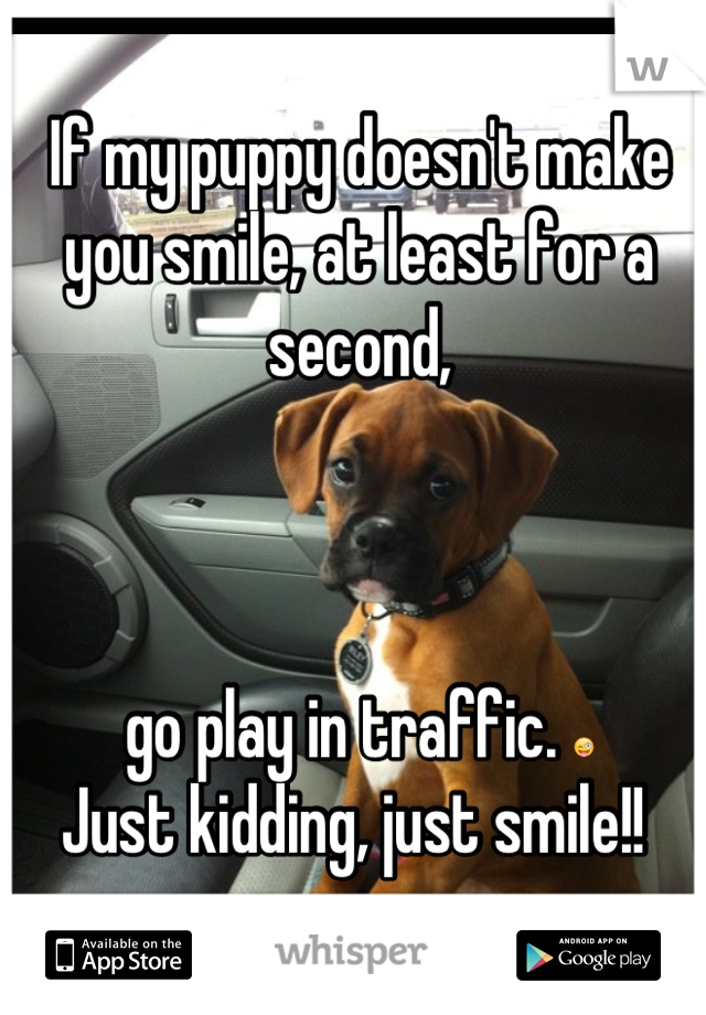 If my puppy doesn't make you smile, at least for a second, 



go play in traffic. 😜
Just kidding, just smile!! 