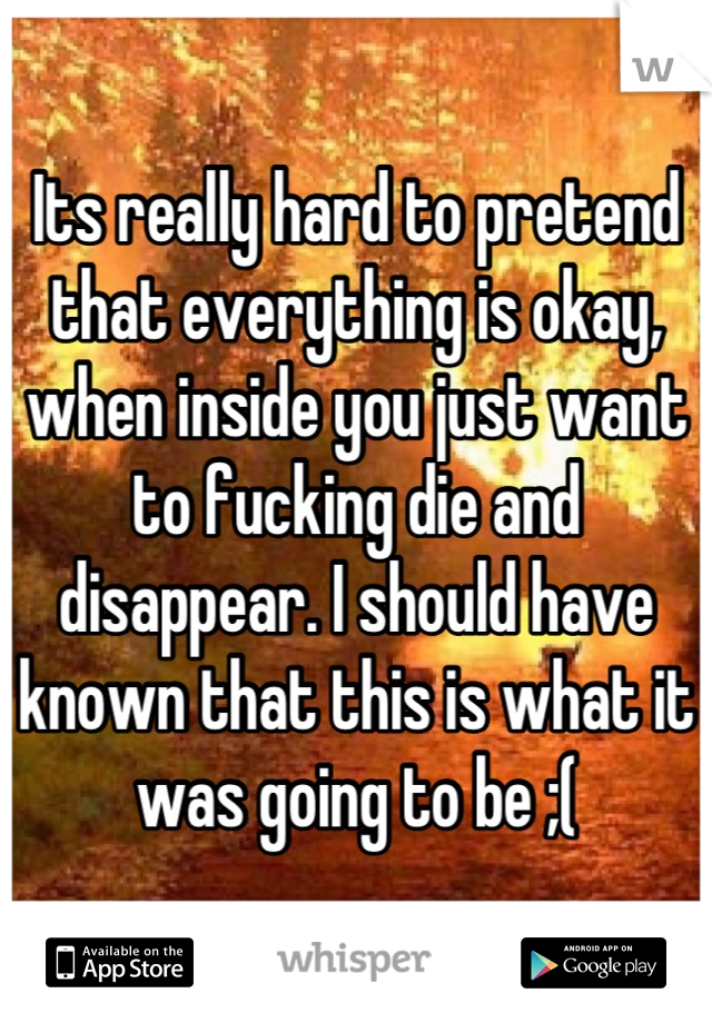 Its really hard to pretend that everything is okay, when inside you just want to fucking die and disappear. I should have known that this is what it was going to be ;(