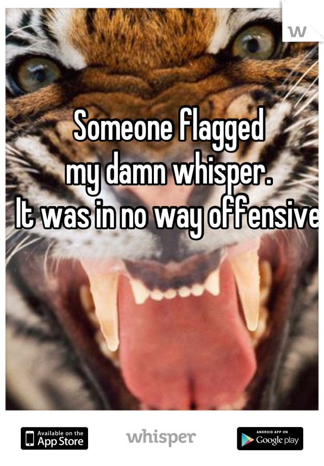 Someone flagged
my damn whisper.
It was in no way offensive