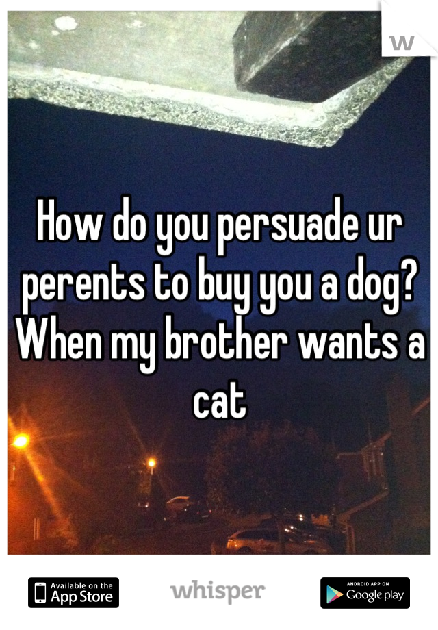 How do you persuade ur perents to buy you a dog? 
When my brother wants a cat