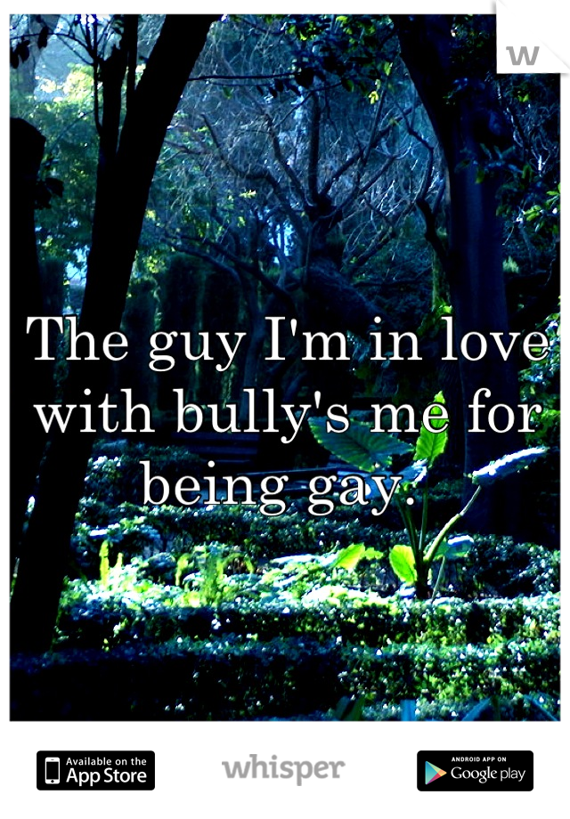 The guy I'm in love with bully's me for being gay. 