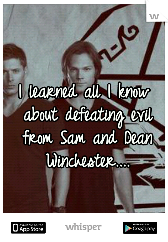 I learned all I know about defeating evil from Sam and Dean Winchester....