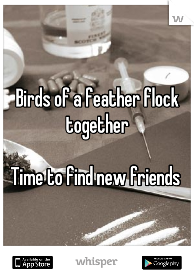 Birds of a feather flock together 

Time to find new friends 