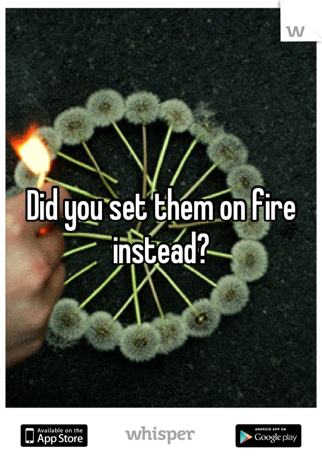 Did you set them on fire instead?