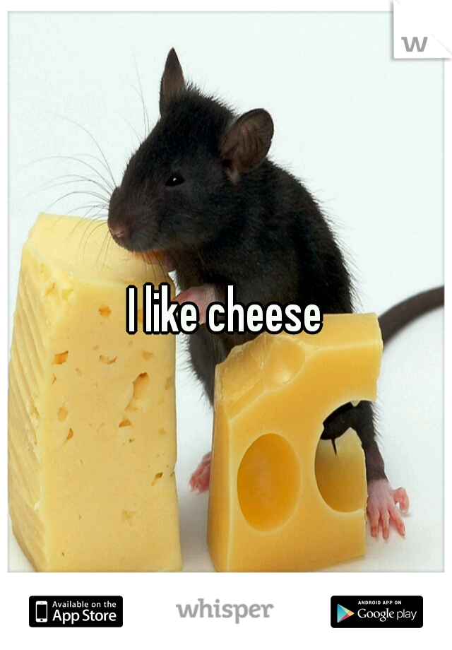 I like cheese
