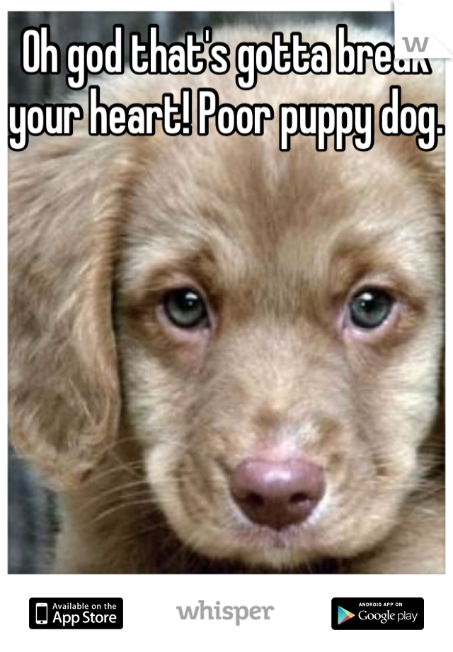 Oh god that's gotta break your heart! Poor puppy dog. 