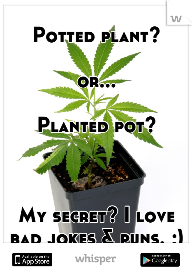 Potted plant?

or...

Planted pot?



My secret? I love bad jokes & puns. ;)