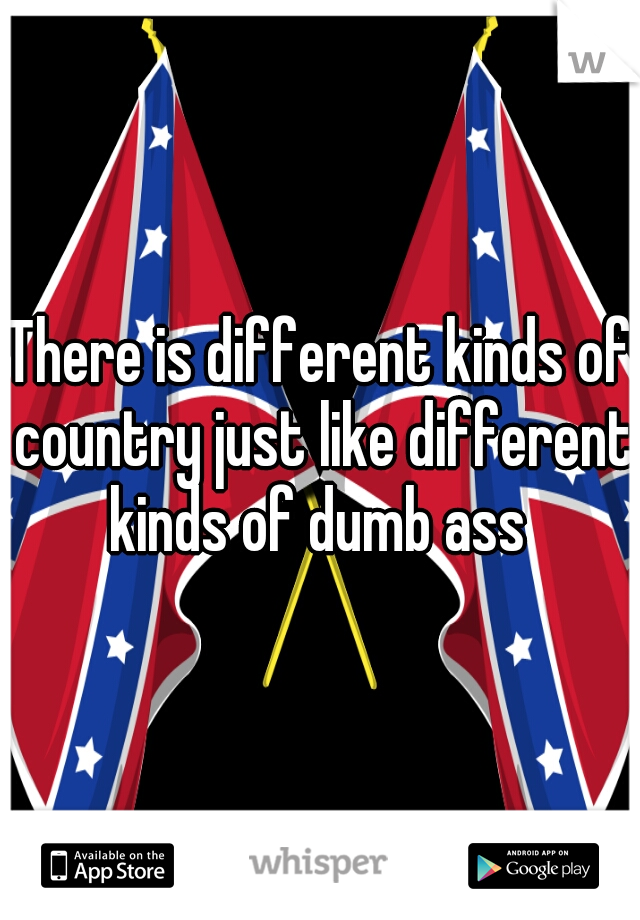 There is different kinds of country just like different kinds of dumb ass 