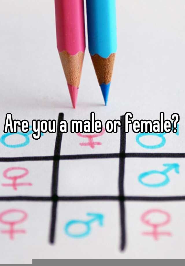 are-you-a-male-or-female