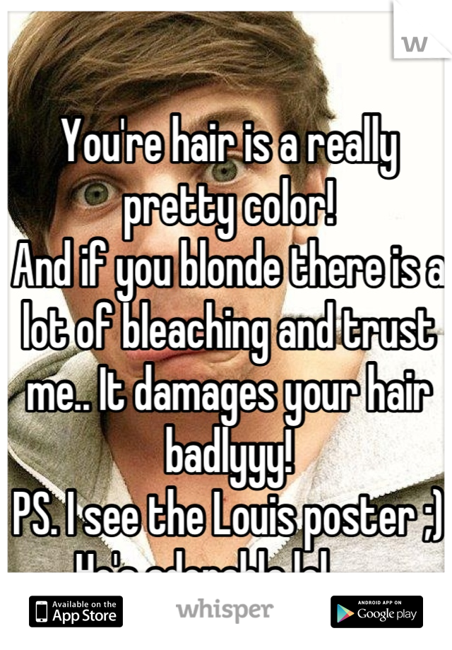 You're hair is a really pretty color! 
And if you blonde there is a lot of bleaching and trust me.. It damages your hair badlyyy!
PS. I see the Louis poster ;)
He's adorable lol 😍❤😘