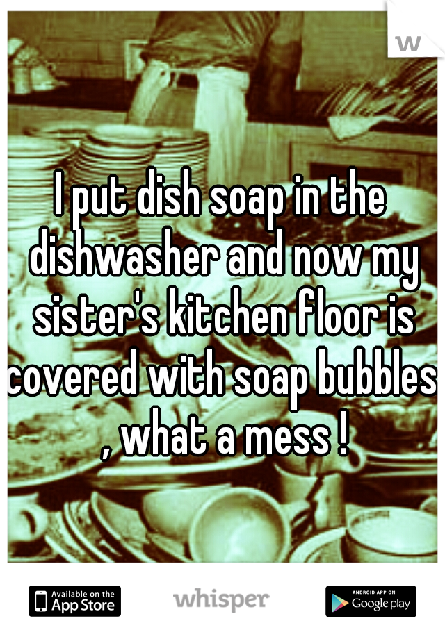 I put dish soap in the dishwasher and now my sister's kitchen floor is covered with soap bubbles. , what a mess !