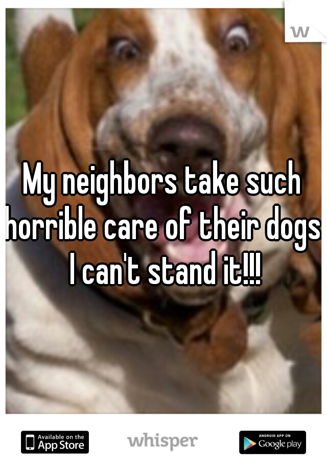 My neighbors take such horrible care of their dogs. I can't stand it!!!