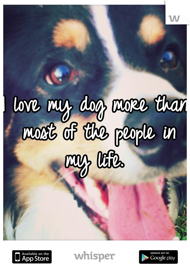 I love my dog more than most of the people in my life. 