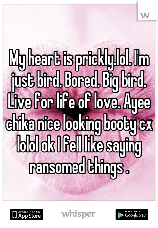 My heart is prickly.lol. I'm just bird. Bored. Big bird. Live for life of love. Ayee chika nice looking booty cx lolol ok I fell like saying ransomed things .