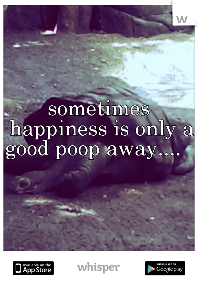 sometimes happiness is only a good poop away....                               