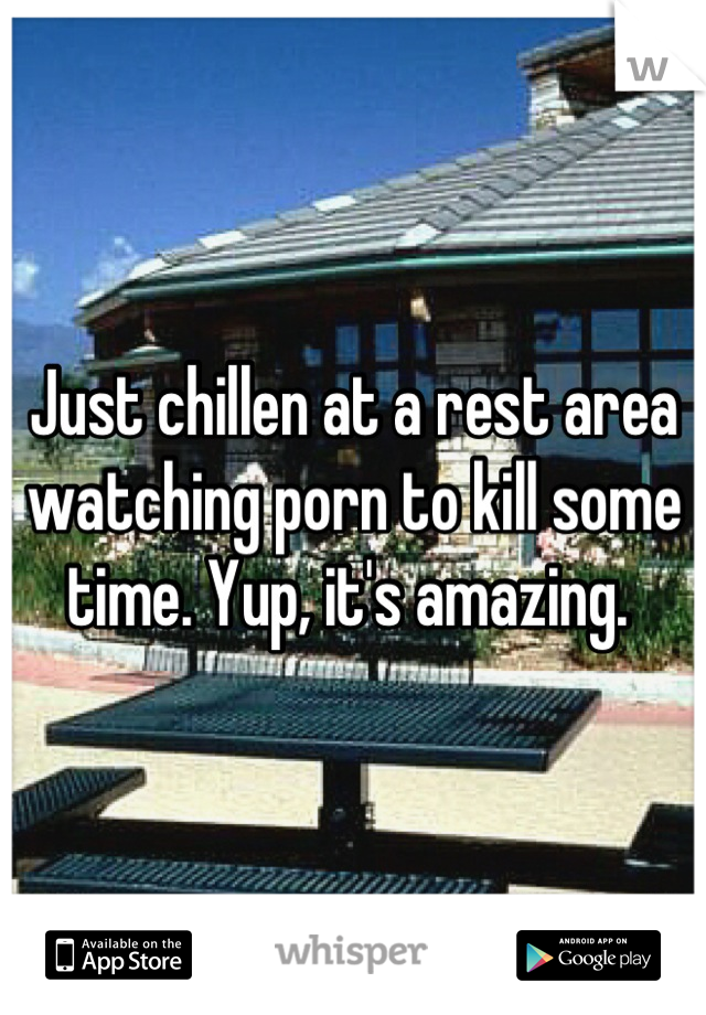 Just chillen at a rest area watching porn to kill some time. Yup, it's amazing. 