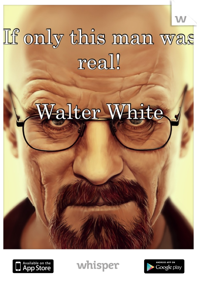 If only this man was real! 

Walter White