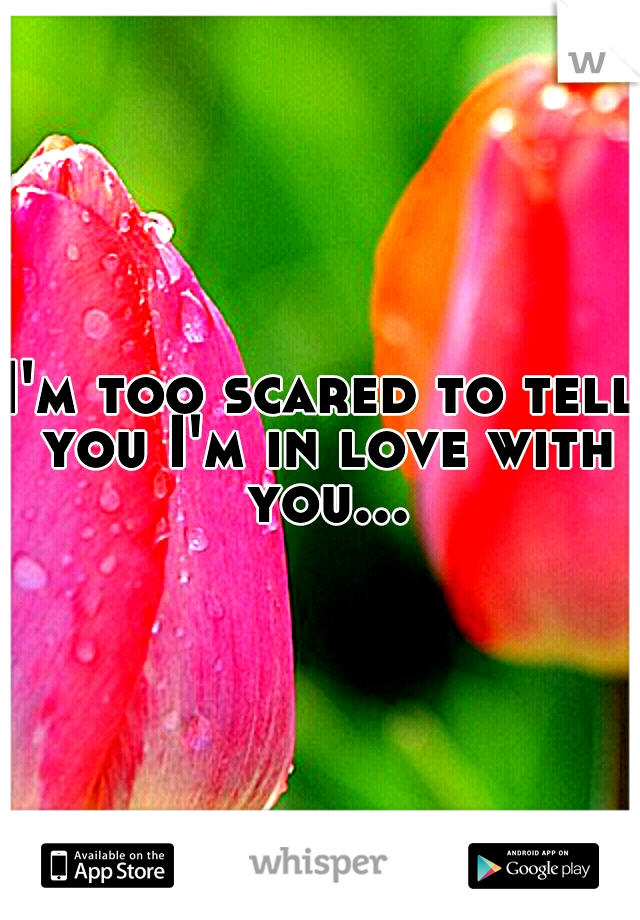 I'm too scared to tell you I'm in love with you...