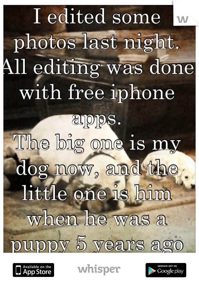 I edited some photos last night. All editing was done with free iphone apps. 
The big one is my dog now, and the little one is him when he was a puppy 5 years ago 
Do you like it? 