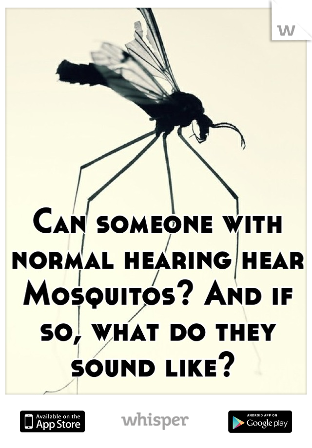 Can someone with normal hearing hear Mosquitos? And if so, what do they sound like? 