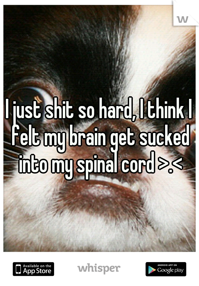 I just shit so hard, I think I felt my brain get sucked into my spinal cord >.<