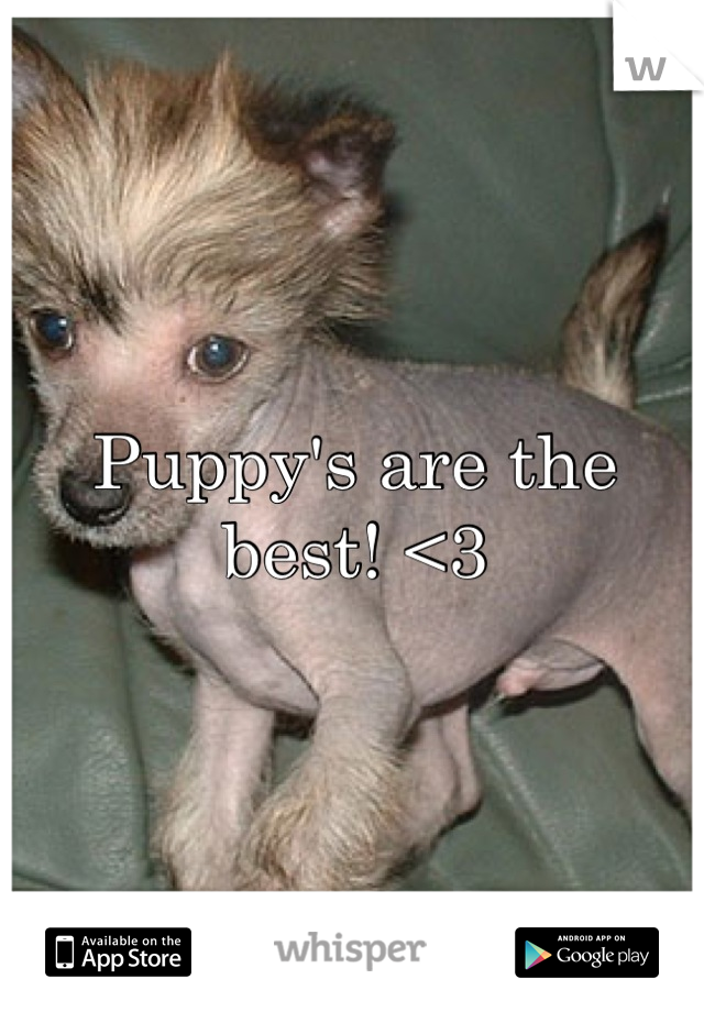 Puppy's are the best! <3