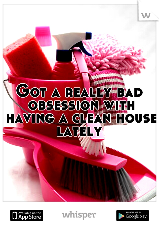 Got a really bad obsession with having a clean house lately 