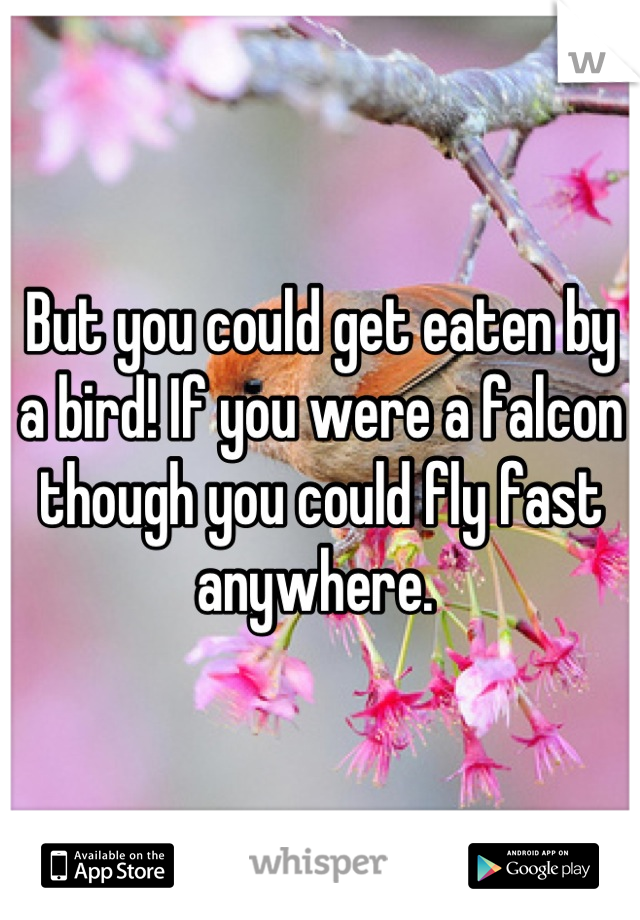 But you could get eaten by a bird! If you were a falcon though you could fly fast anywhere. 