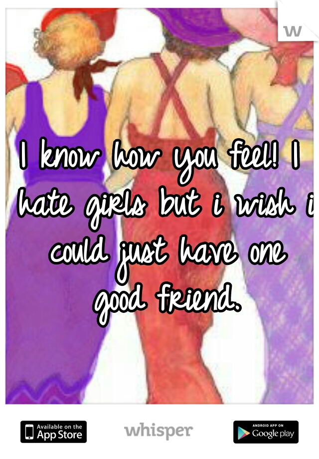 I know how you feel! I hate girls but i wish i could just have one good friend.