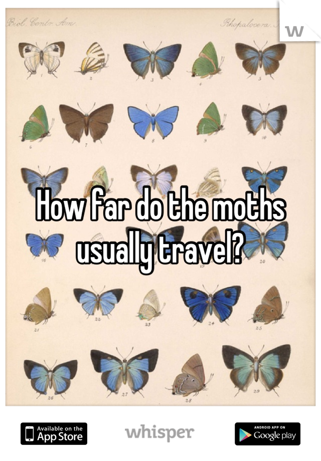 How far do the moths usually travel?