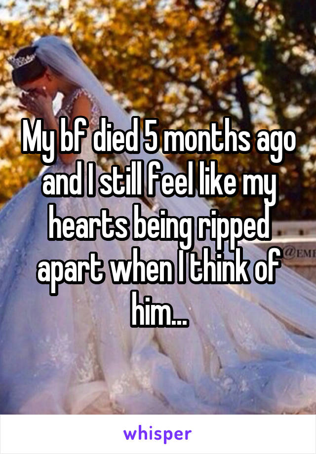 My bf died 5 months ago and I still feel like my hearts being ripped apart when I think of him...