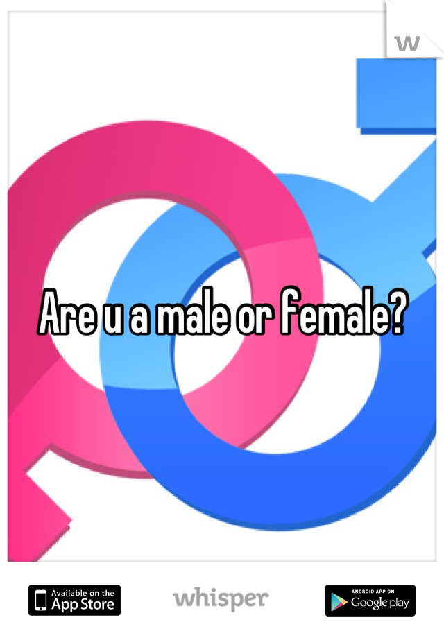 Are u a male or female?