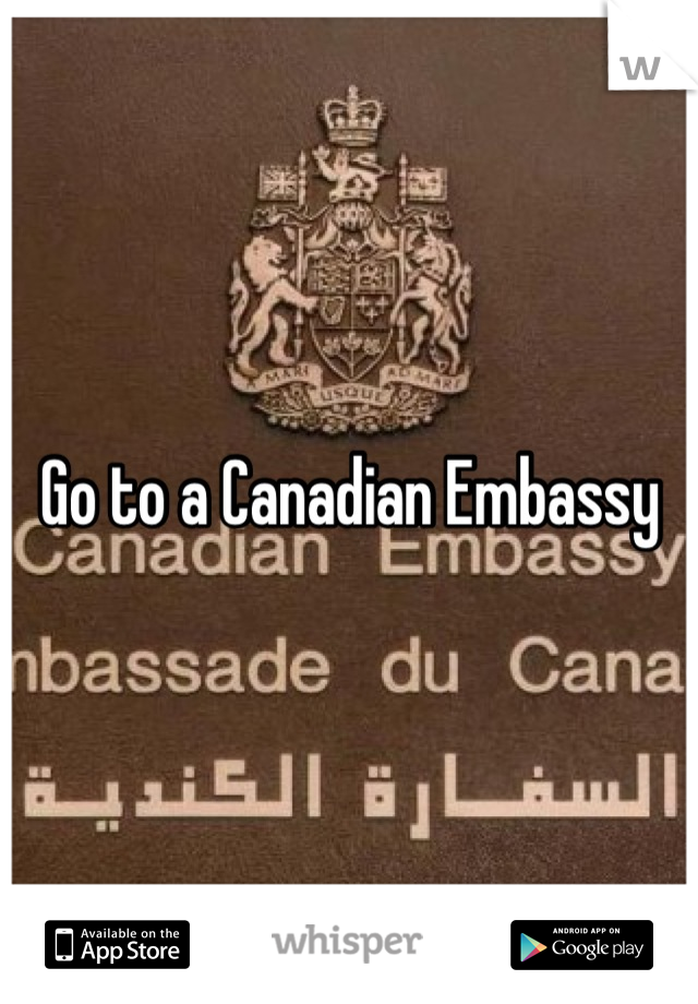 Go to a Canadian Embassy