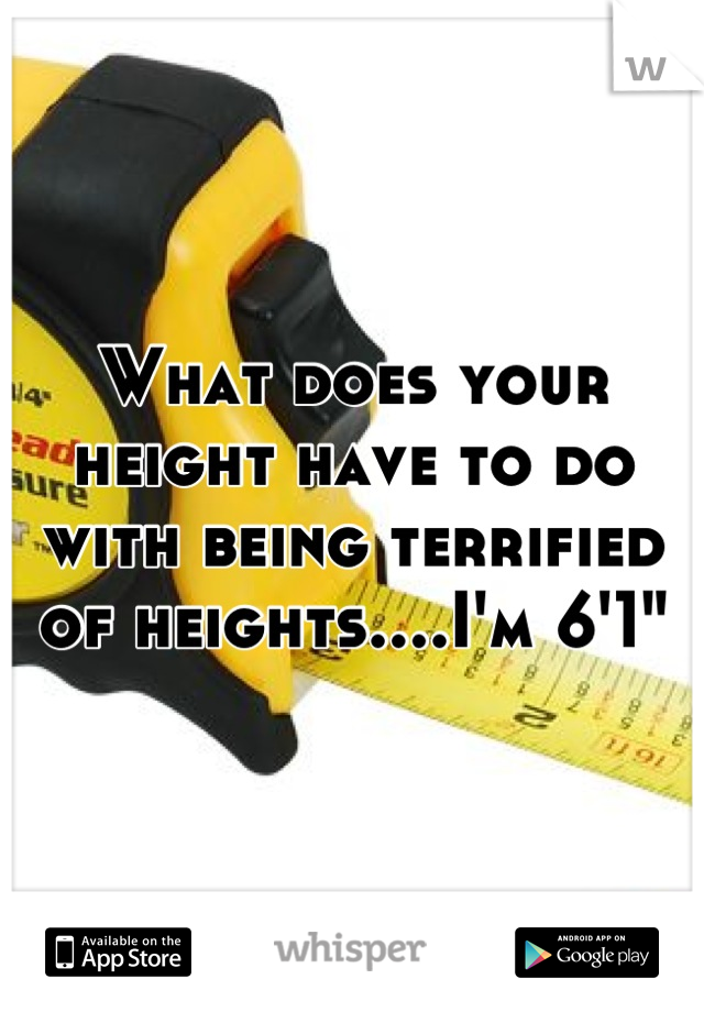What does your height have to do with being terrified of heights....I'm 6'1"