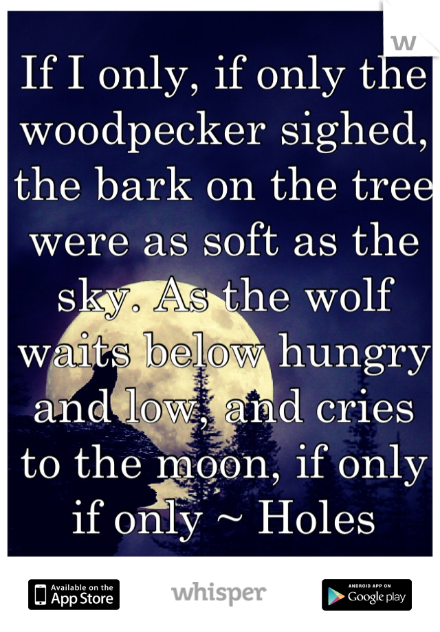 If I only, if only the woodpecker sighed, the bark on the tree were as soft as the sky. As the wolf waits below hungry and low, and cries to the moon, if only if only ~ Holes