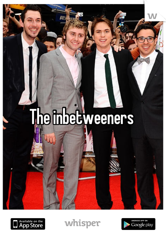 The inbetweeners 