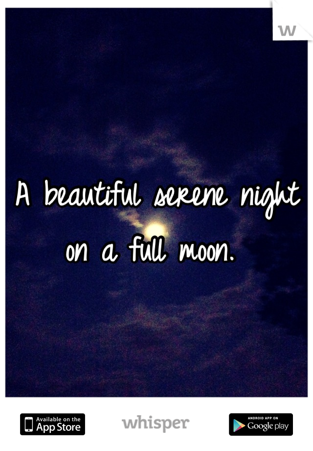 A beautiful serene night on a full moon. 