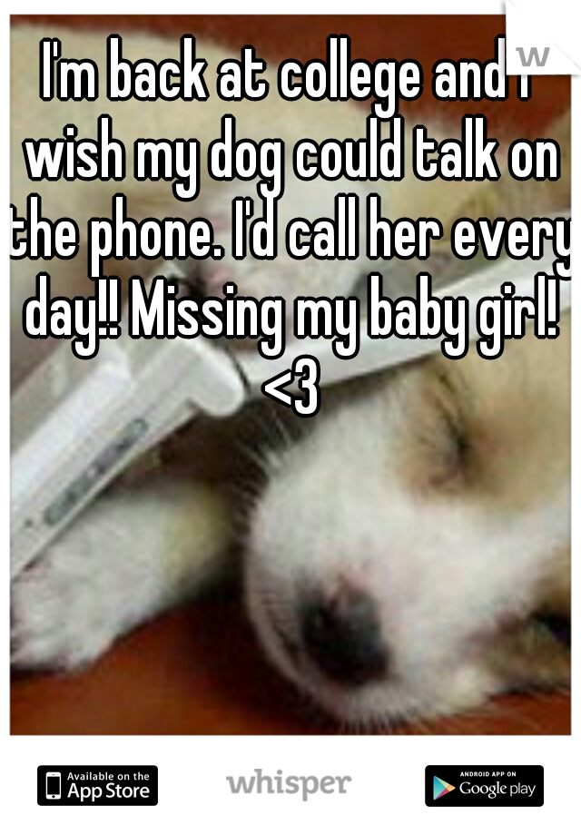 I'm back at college and I wish my dog could talk on the phone. I'd call her every day!! Missing my baby girl! <3
