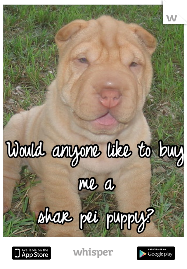 Would anyone like to buy me a 
shar pei puppy?