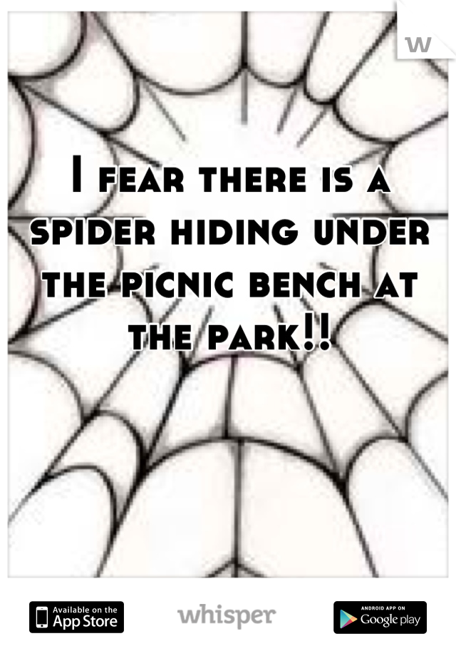 I fear there is a spider hiding under the picnic bench at the park!!