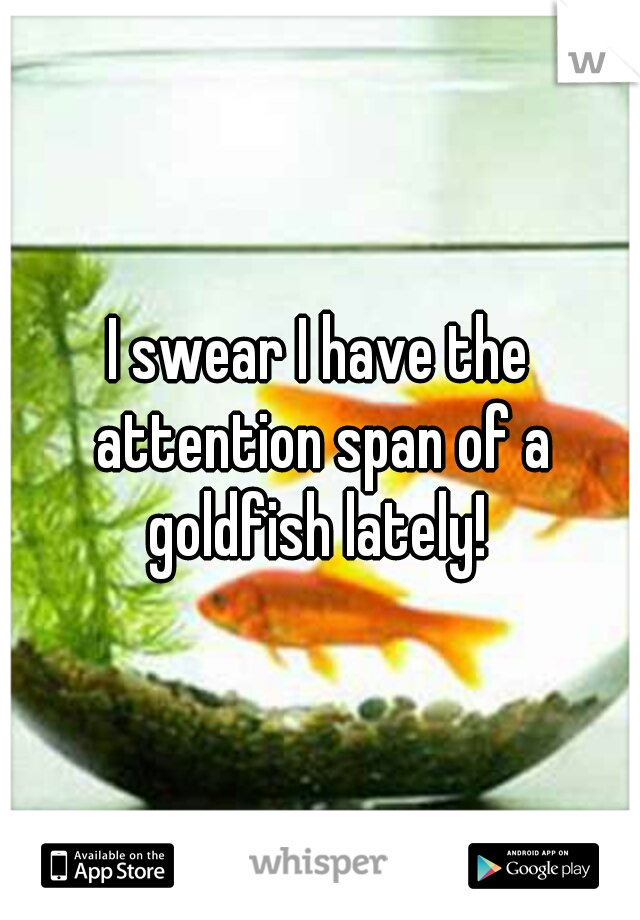 I swear I have the attention span of a goldfish lately! 