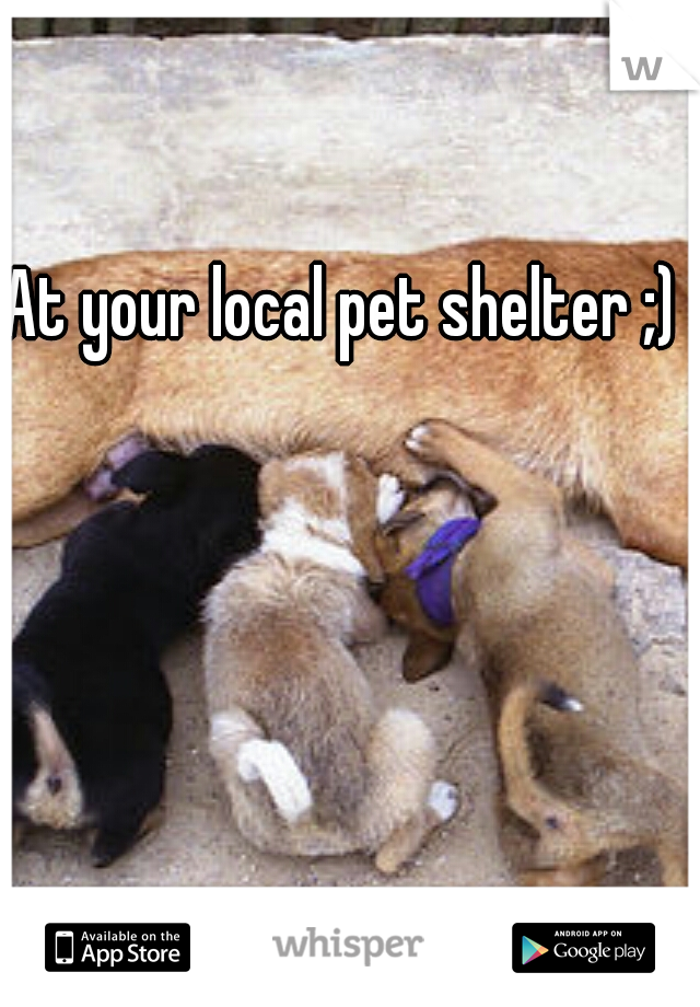 At your local pet shelter ;) 