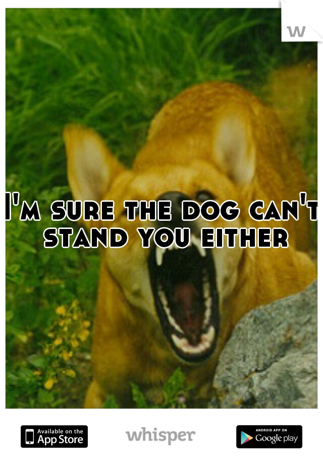 I'm sure the dog can't stand you either