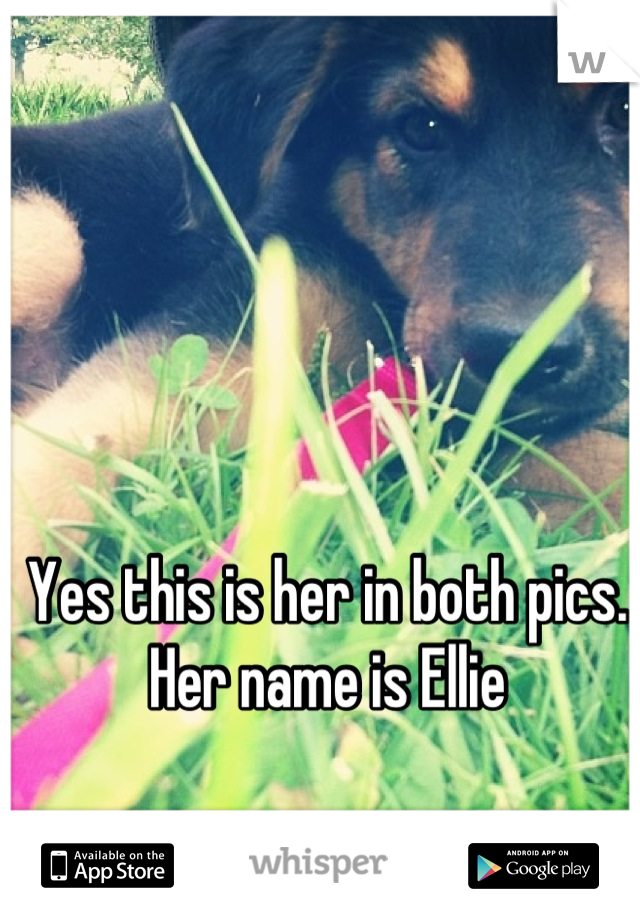 Yes this is her in both pics.
Her name is Ellie